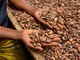 Alimenti, Icam presenta bilancio di sostenibilità 2025: la filiera del cacao che crea valore Alimenti, Icam presenta bilancio di sostenibilità 2025: la filiera del cacao che crea valore