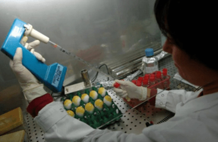 Lupus eritematoso, Moroni (San Raffaele): "Priorità approccio multidisciplinare" Lupus eritematoso, Moroni (San Raffaele): "Priorità approccio multidisciplinare"