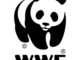 Prevenzione incendi boschivi, il WWF Liguria chiede ordinanze specifiche ai sindaci