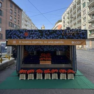 Giornata mondiale malattie rare, un'edicola di fiori per la campagna RareMeansCare