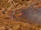 Spagna, almeno 11 vittime in un grave incendio in Andalusia Spagna, almeno 11 vittime in un grave incendio in Andalusia