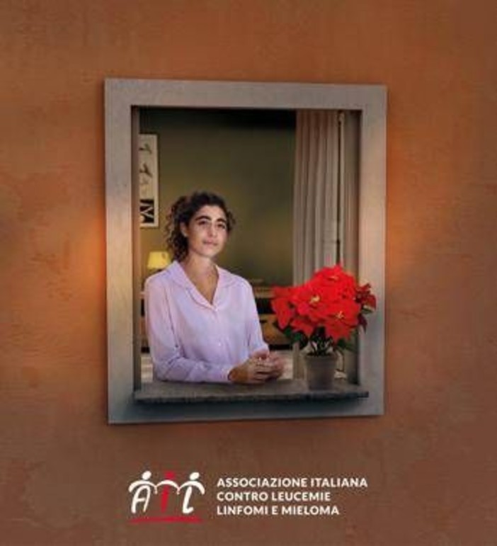 Lotta alle leucemie, tornano le stelle di Natale Ail per la ricerca