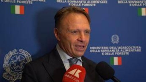 Made in Italy, Lollobrigida: "Significativo far conoscere eccellenze ristorazione" Made in Italy, Lollobrigida: "Significativo far conoscere eccellenze ristorazione"