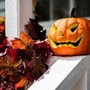 Halloween, picco di lesioni da intaglio zucche: come evitare la 'maledizione della Jack-o'-Lantern' Halloween, picco di lesioni da intaglio zucche: come evitare la 'maledizione della Jack-o'-Lantern'