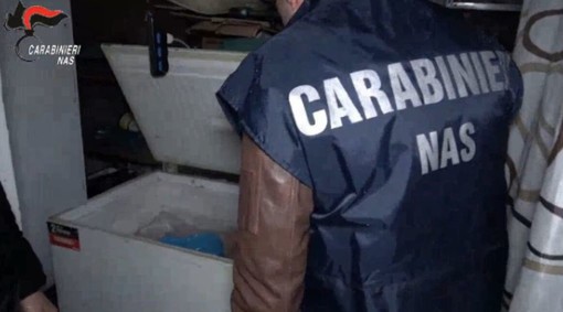 Macellazione clandestina a Salerno, sequestrati 6 quintali di carni Macellazione clandestina a Salerno, sequestrati 6 quintali di carni