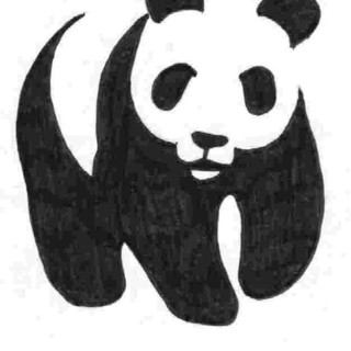 Mancano pochi giorni "all'Ora della Terra", l'appello del WWF ai sindaci savonesi: "Aderite a questo evento internazionale"