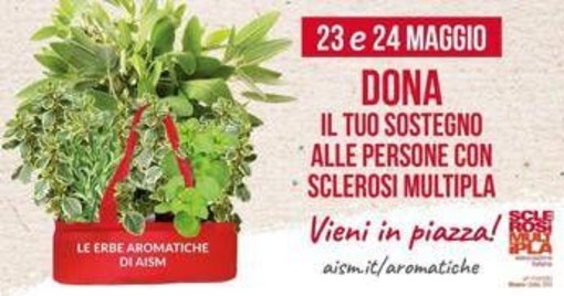 Settimana nazionale della sclerosi multipla, tornano le erbe aromatiche Aism in 500 piazze Settimana nazionale della sclerosi multipla, tornano le erbe aromatiche Aism in 500 piazze