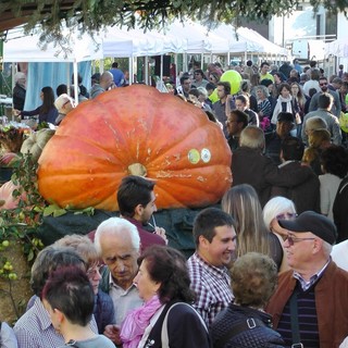 Rocchetta di Cengio, successo per la 13° edizione di Zucca in Piazza con la partecipazione di Beppe Bigazzi