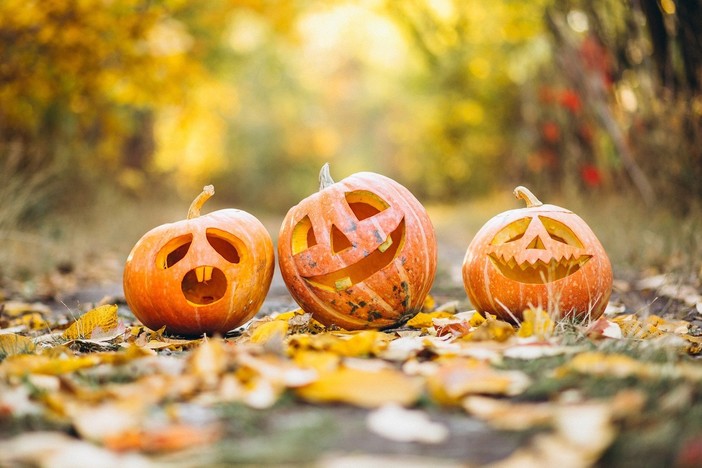 Halloween made in Liguria: la "zucca economy" cresce anche sotto la Lanterna