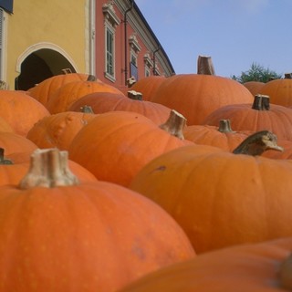 Zuccainpiazza anima il weekend di Rocchetta di Cengio