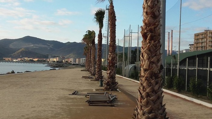 Savona, doppia commissione Seconda su Aurelia Bis e Maersk: "Chiarire quali saranno i danni da erosione al litorale provocati dalla Piattaforma"