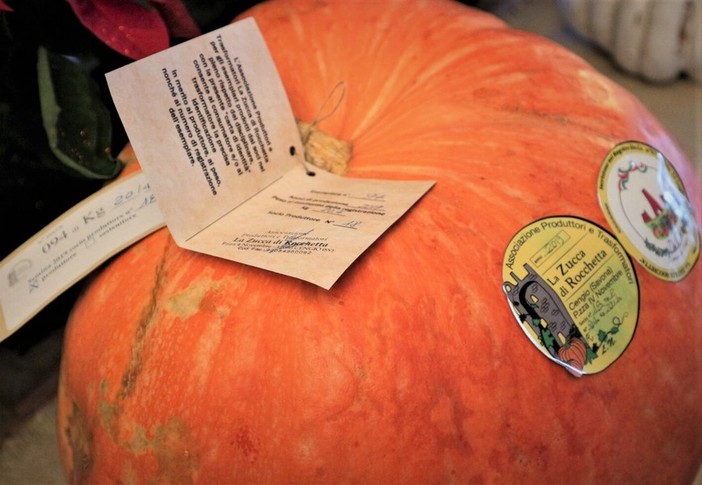 Cengio vince il premio "Piccolo Comune Amico" per la zucca di Rocchetta, vera eccellenza agroalimentare Cengio vince il premio "Piccolo Comune Amico" per la zucca di Rocchetta, vera eccellenza agroalimentare