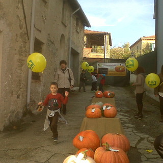 Successo per  “Zucca in Piazza” a Rocchetta di Cengio