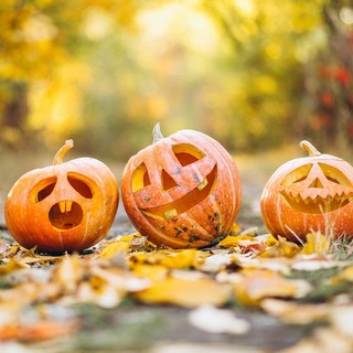 Halloween made in Liguria: la &quot;zucca economy&quot; cresce anche sotto la Lanterna