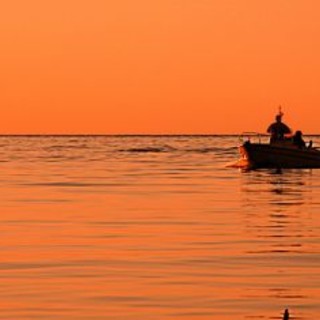 Liguria: il nostro mare gode di ottima salute