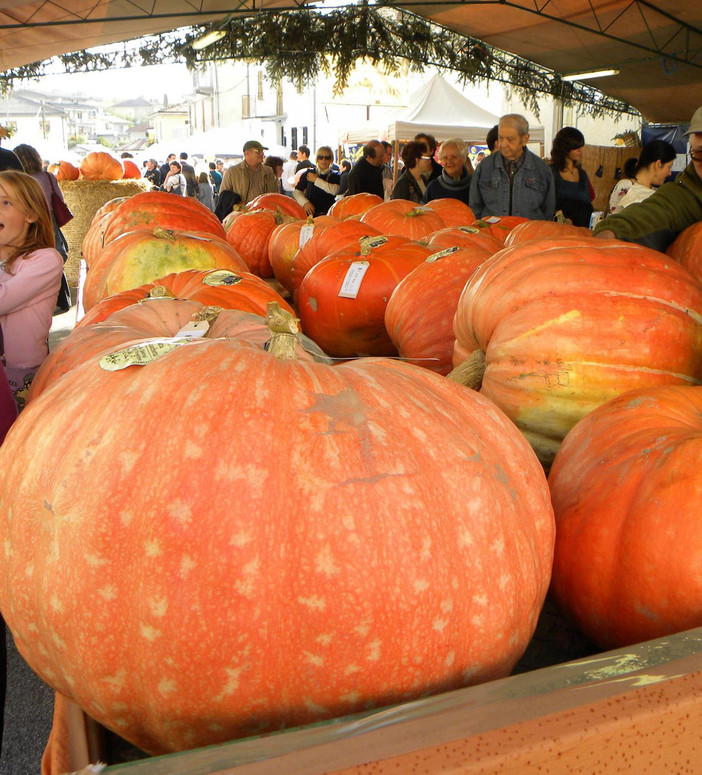 Rocchetta di Cengio, tutto pronto per ZuccaInPiazza 2022