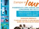 “Zampe in Tour”: a Borghetto una camminata di gruppo con i cani