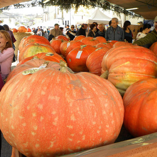 Rocchetta di Cengio, tutto pronto per ZuccaInPiazza 2022